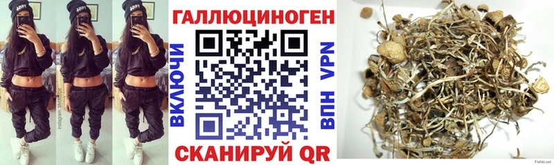 Псилоцибиновые грибы GOLDEN TEACHER  кракен маркетплейс  Челябинск  где купить наркоту 